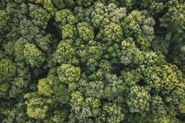 Les Séries TV Sci-Fi Inoubliables à Ne Pas Manquer